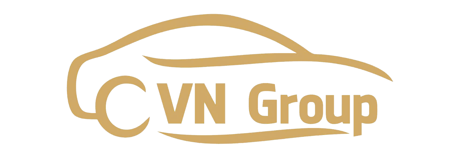 VN Group -  Thuê xe tự lái